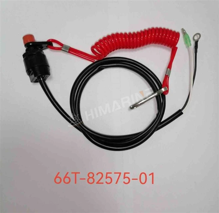 66T-82575-01